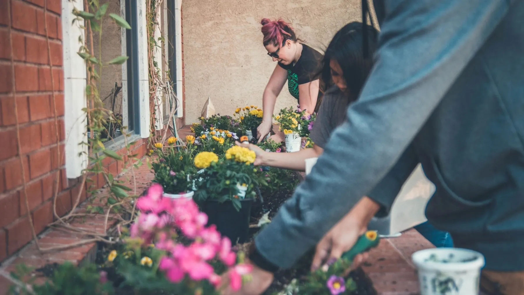 Pivotal's Green Forum Initiative: A Look Back at Our Digital Community