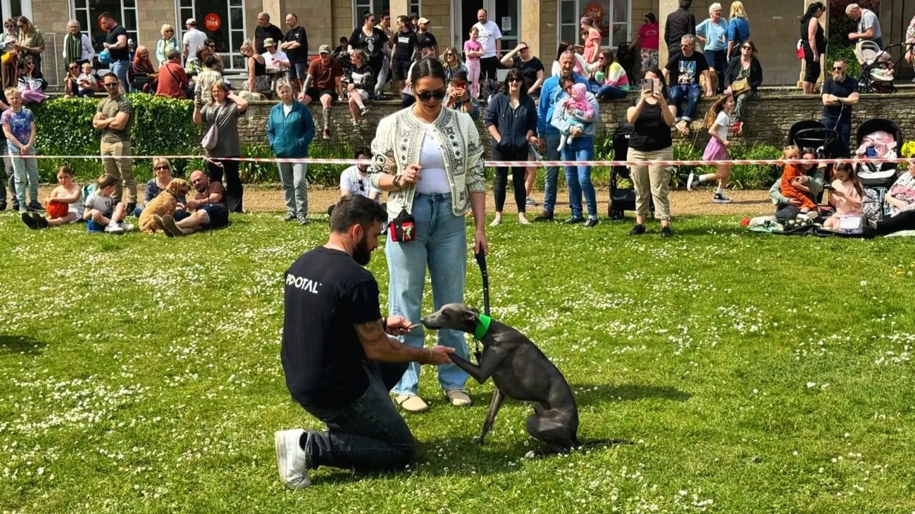 Paws for a Cause: Pivotal’s Day at The Feed's Annual Dog Show