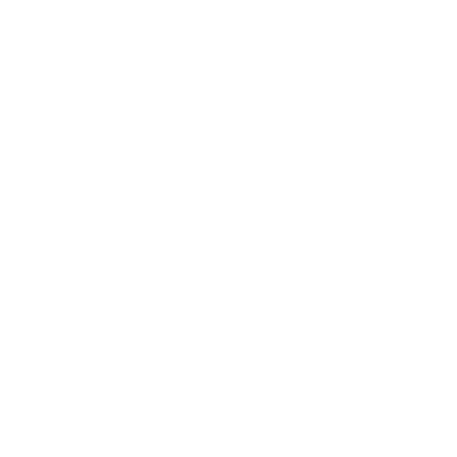 Google Partner