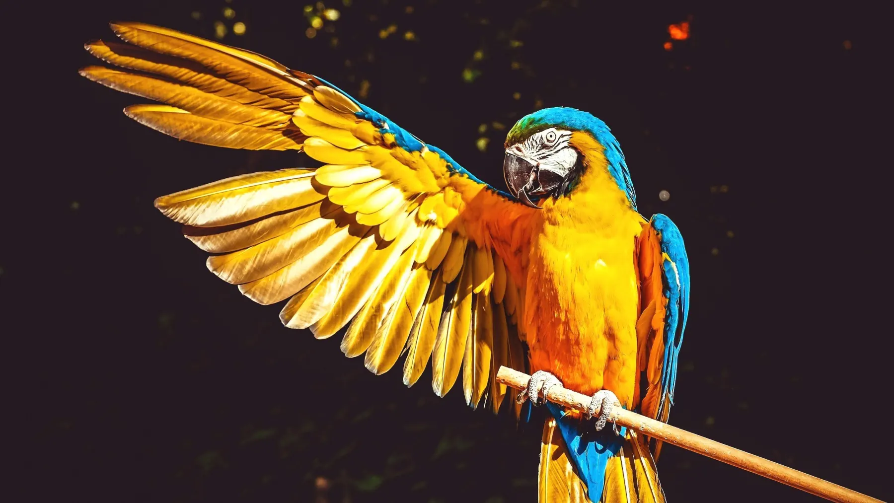 Digital Marketing Colchester