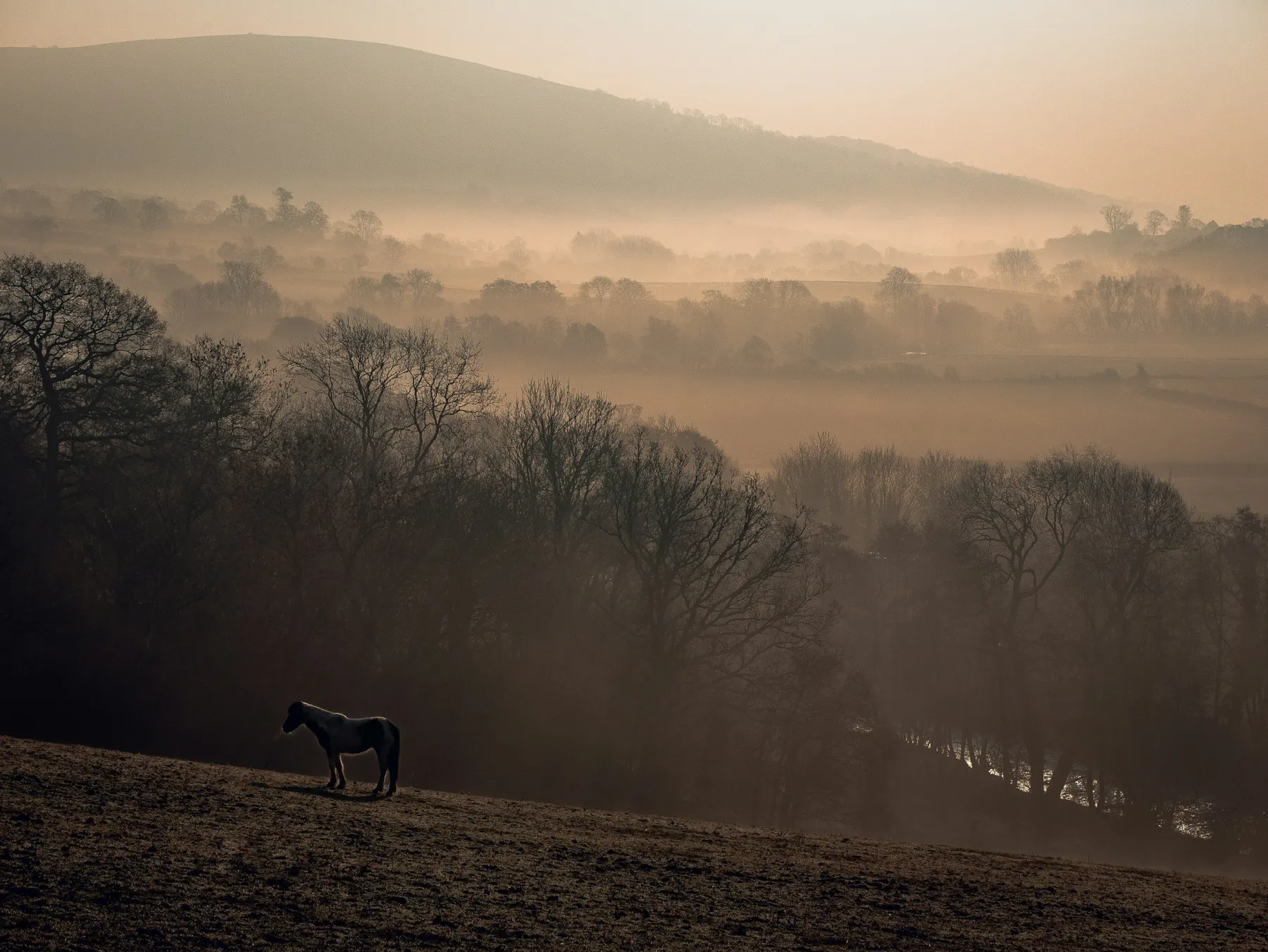 Digital Marketing Hereford
