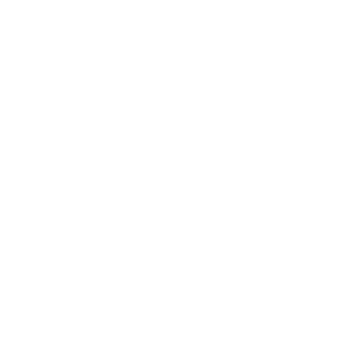 Klaviyo Partner