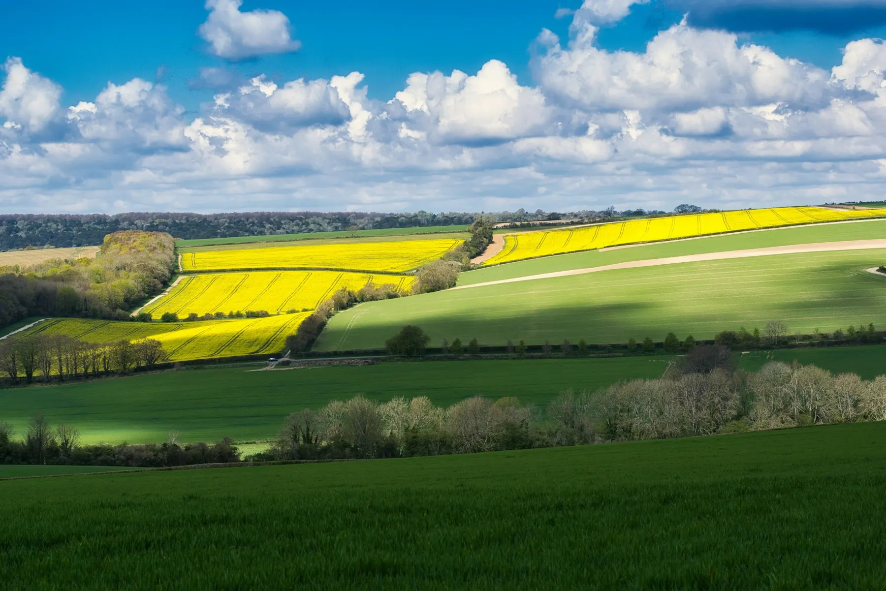 Digital Marketing Chichester