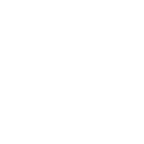 Shopify Partner