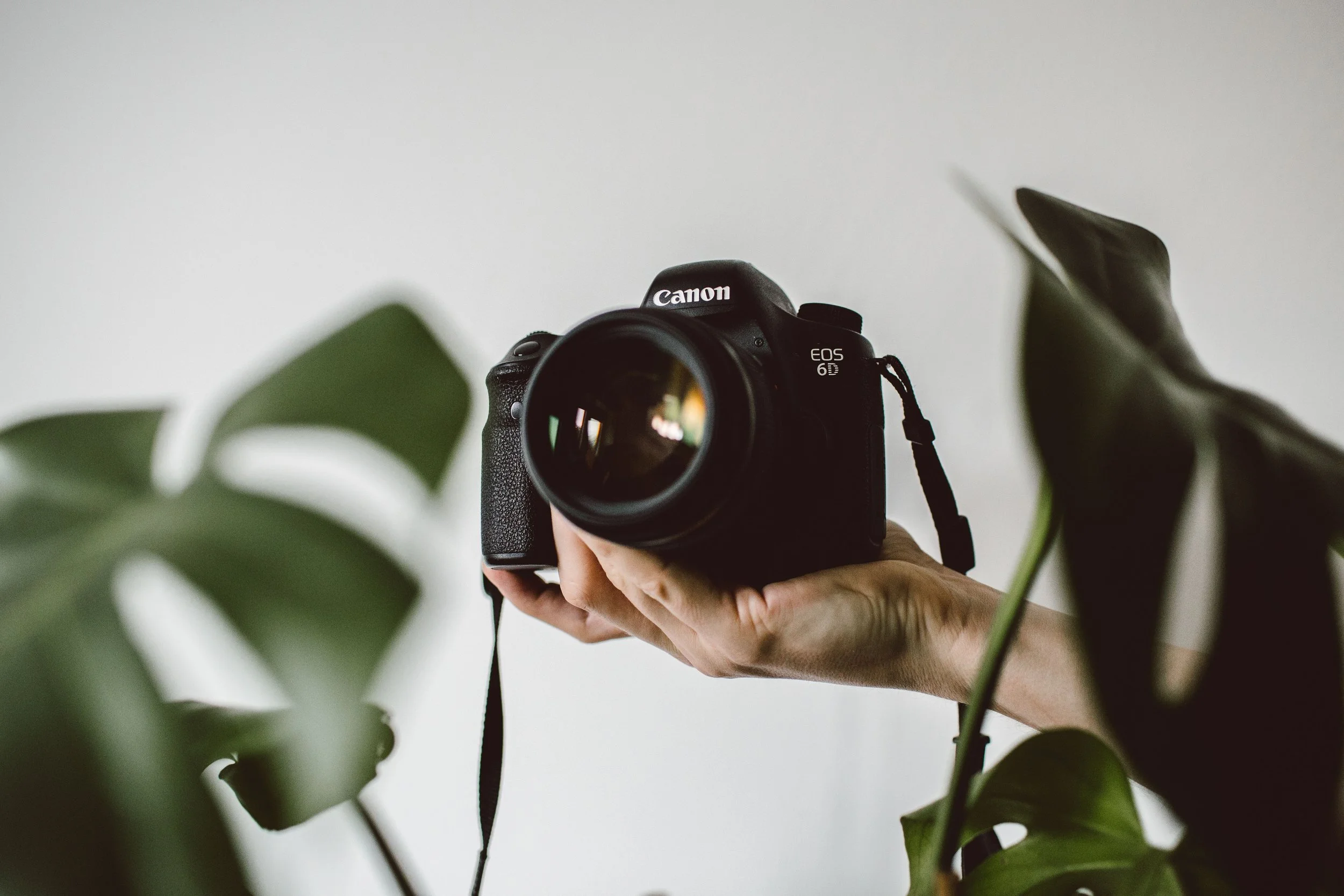 CameraWorld