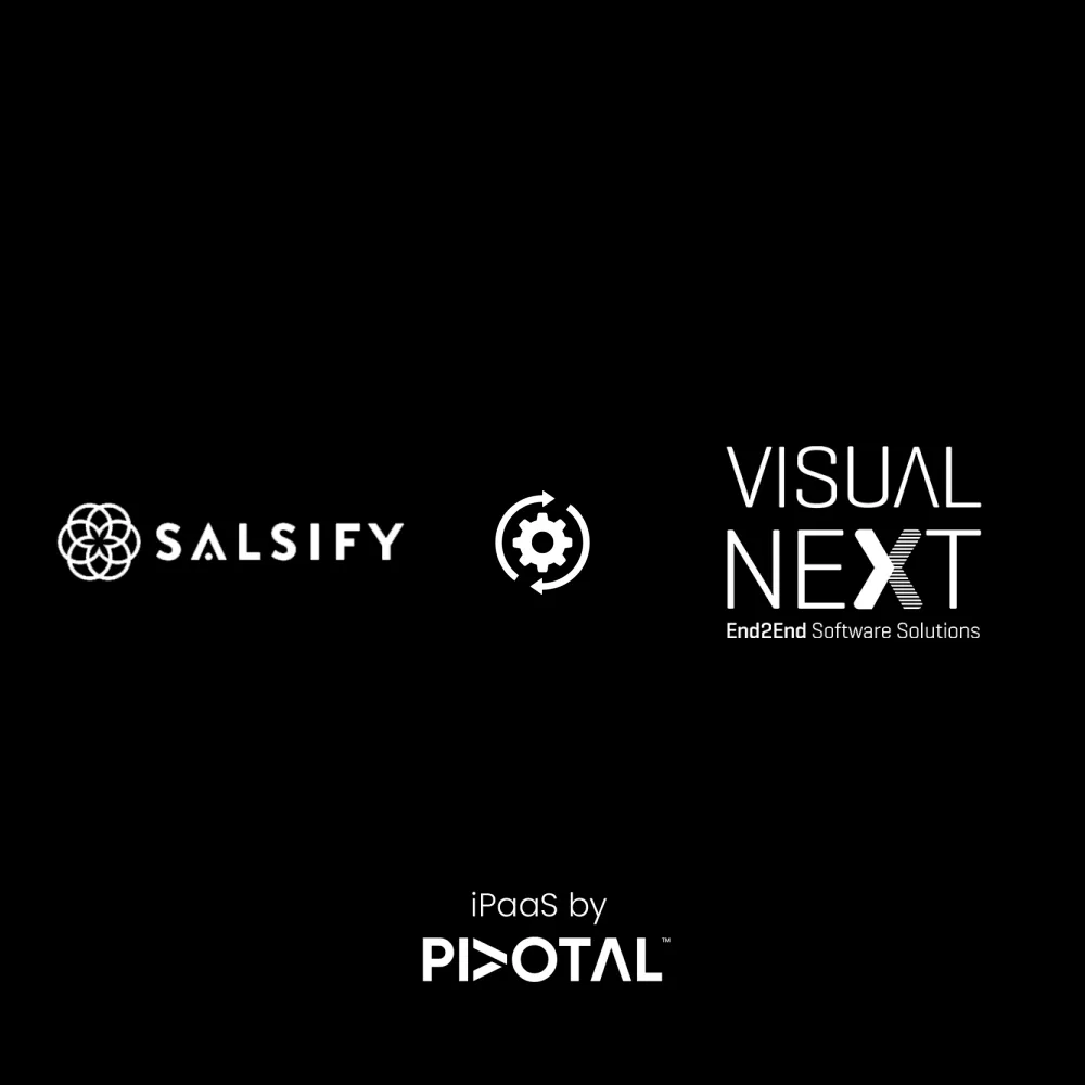 salsify-visual-next-simple.png